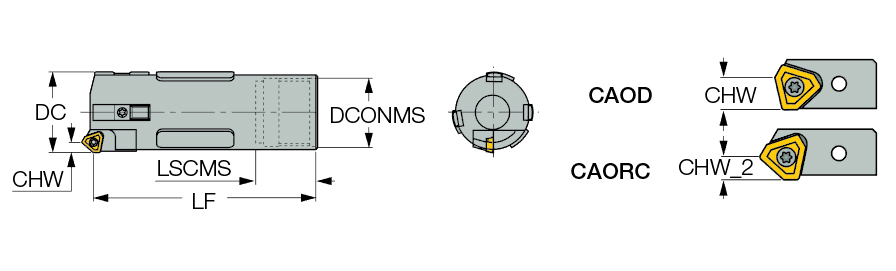 DSC-IC 246.00-257.99